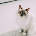 Gaming_cdb22f53-eebf-4515-af22-a3bf51e010ce_pexels-larissa-farber-19477996.jpg